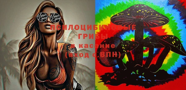 ECSTASY Алзамай