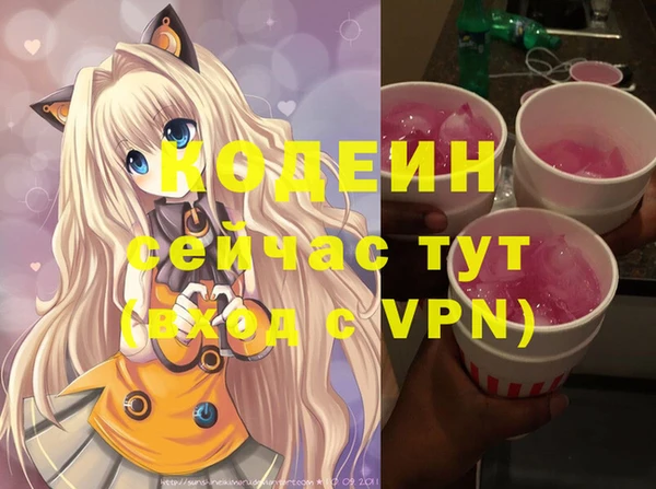 ECSTASY Алзамай