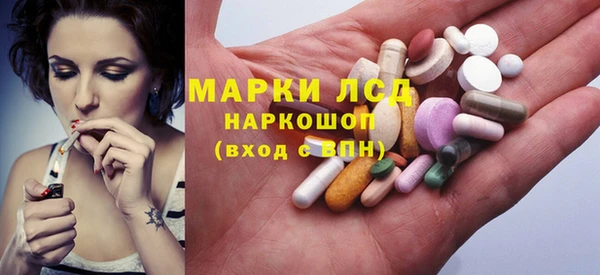 ECSTASY Алзамай