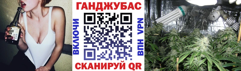 Бошки марихуана гибрид Шумиха